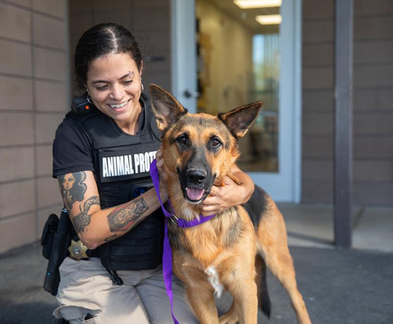 Animal control officer kneeling down and petting a German shepherd dog