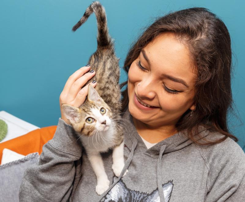 Smiling person petting a kitten who is standing on her shoulder and chest