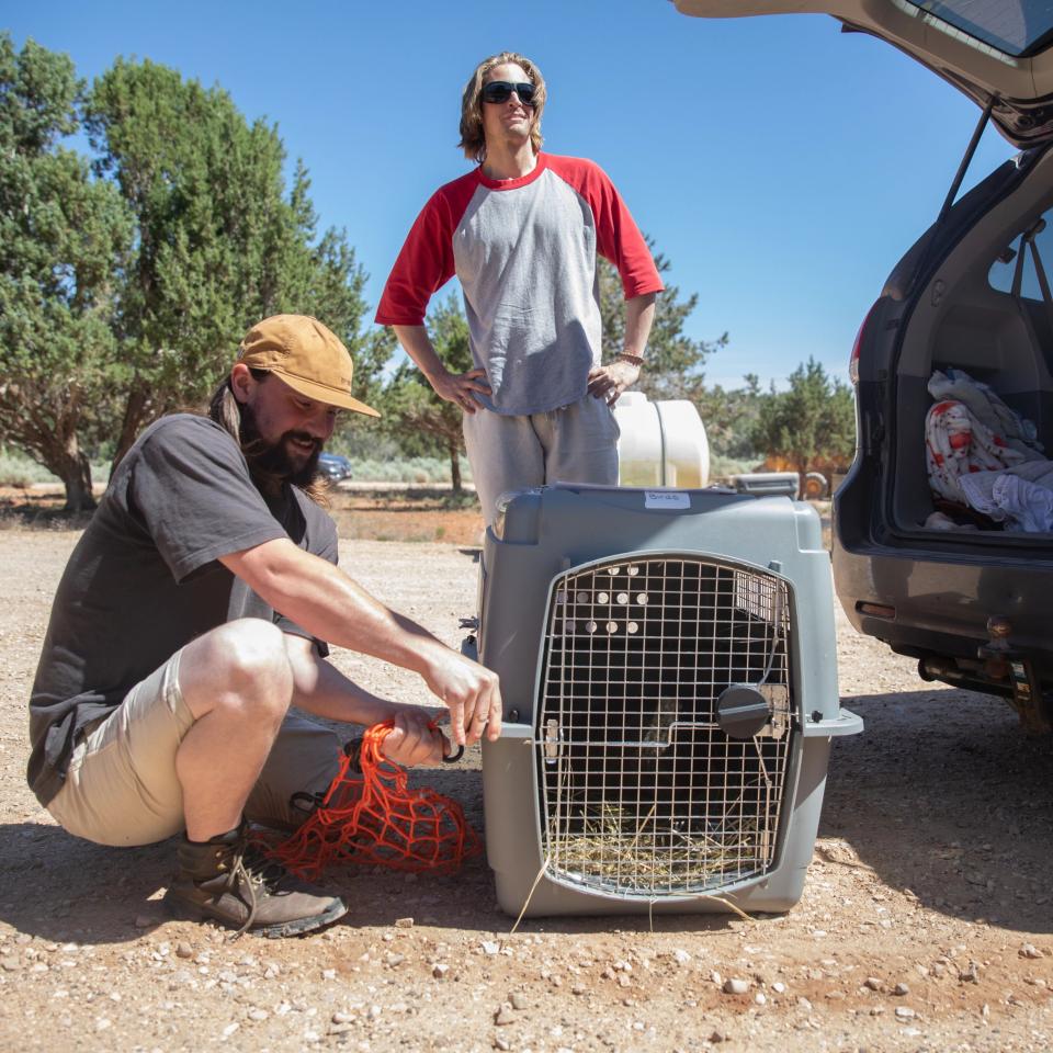 Two men handling a pet transport outside a car