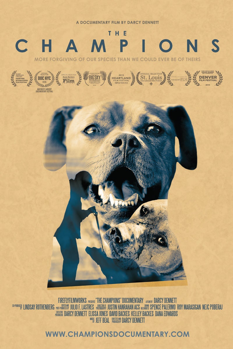 The Champions movie poster