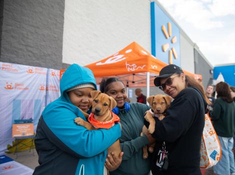 Cloud and Sol the puppies being adopted in front of Walmart
