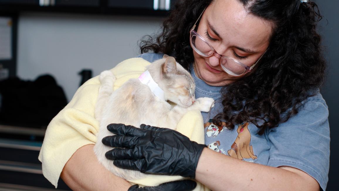 Person cradling a cat in her arms