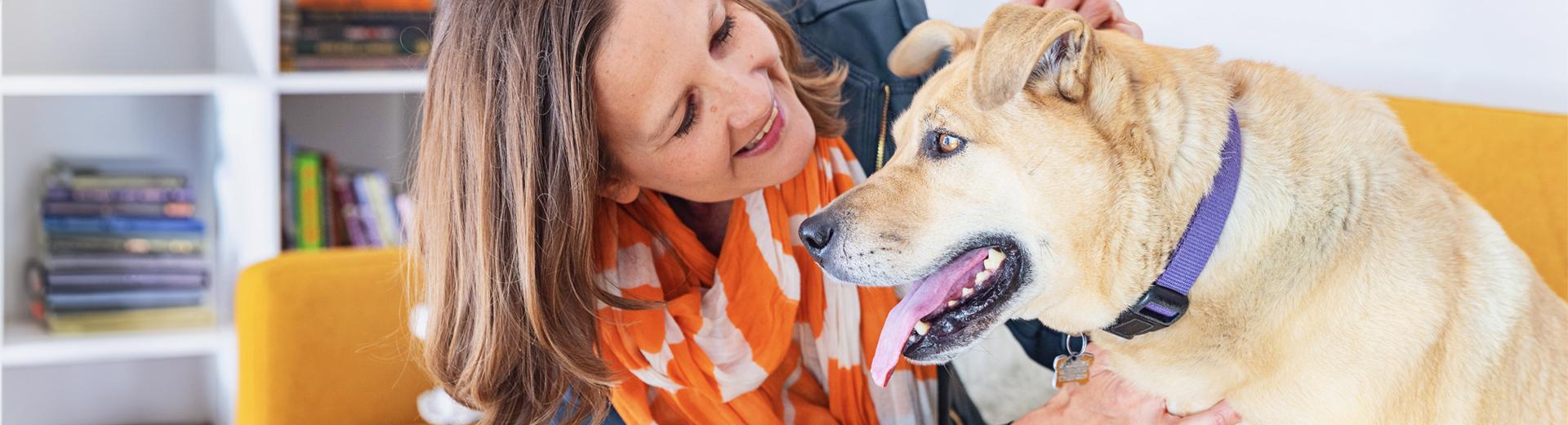 Person smiling at their dog while patting the dog on its head