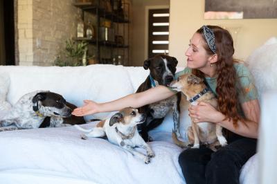 Didgeri and Didgeridoo on a couch together with Landon and two other small dogs