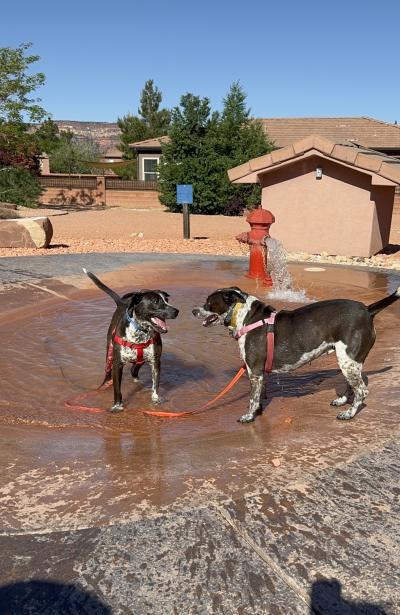 Didgeri and Didgeridoo playing in water coming from a fire hydrant