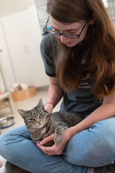 Flora the cat in a lap