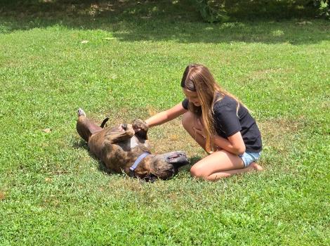 Child rubbing Ford the dog's belly
