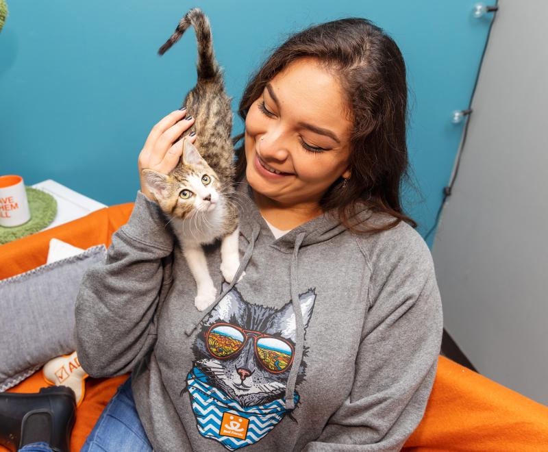 Smiling person petting a tiny kitten on their shoulder