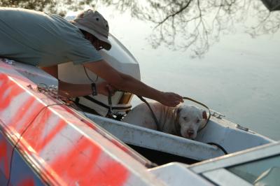 Person reaching down to place a lead around the head of a dog cowering in a boat