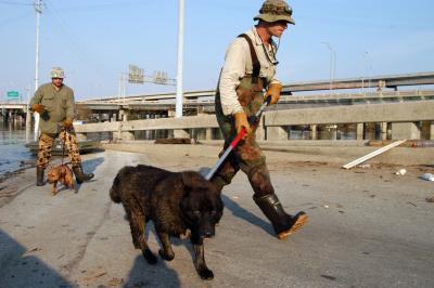 Two people walking with rescued dogs with flooding and debris in the background from Hurricane Katrina