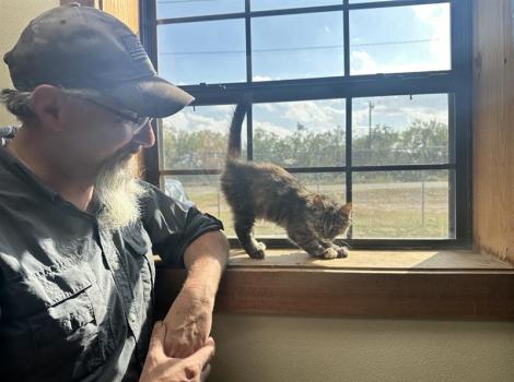 Johnney Ehrlich beside a window with a kitten