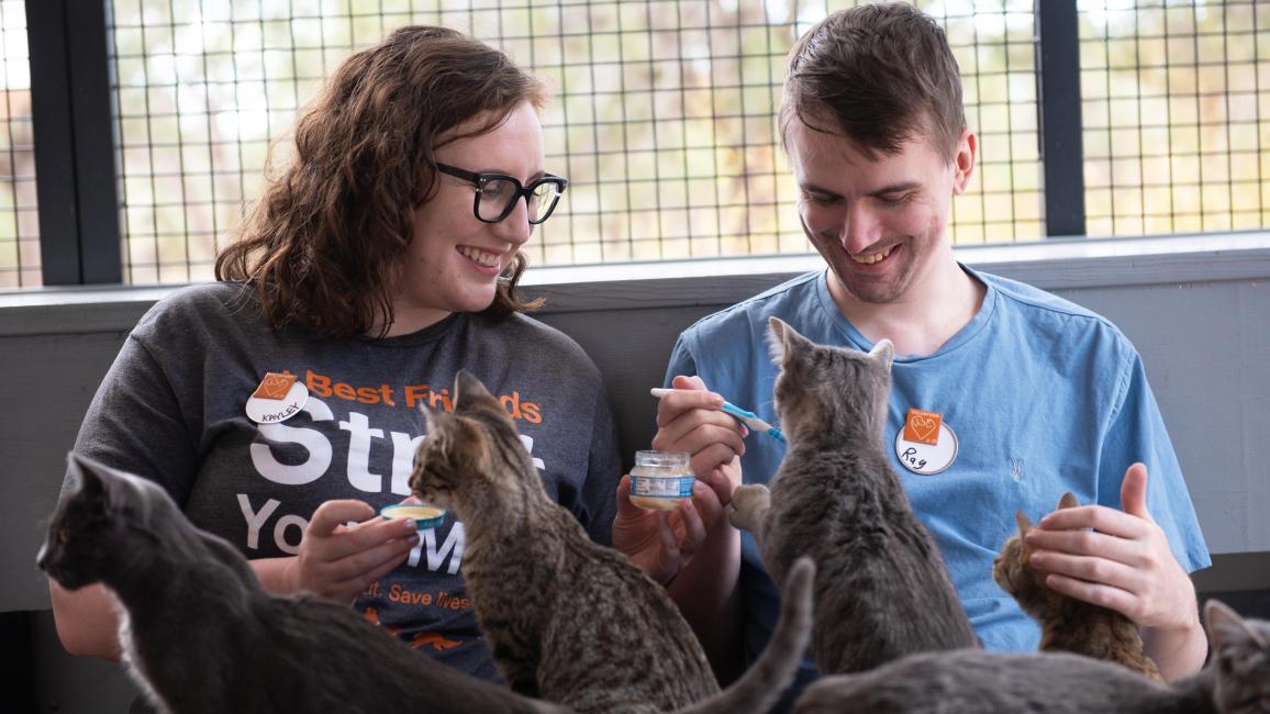 Two smiling people volunteering with cats