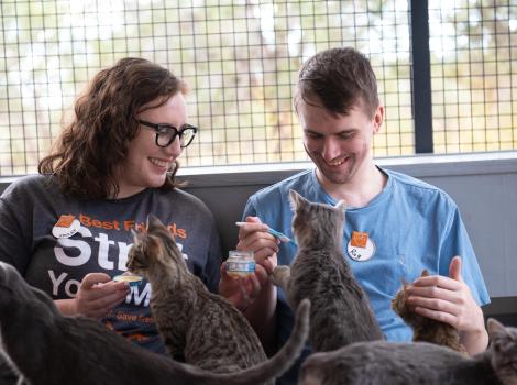 Two smiling people volunteering with cats