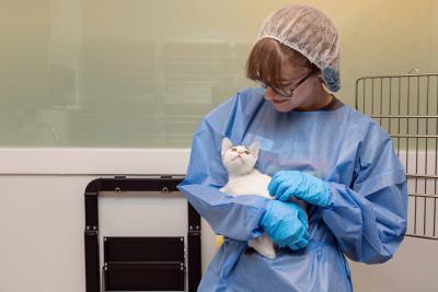 Gowned person holding a kitten in the panleuk room
