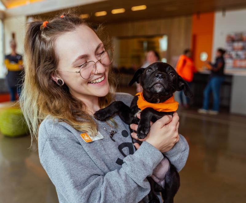 Person holding a cat at the Best Friends Pet Resource Center in Northwest Arkansas