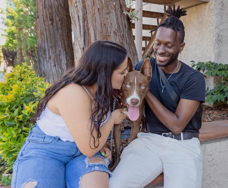 Two smiling people sitting outside with a dog between them