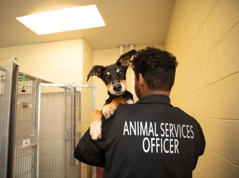 Animal Services Officer carrying a dog over their shoulder in a kennel area