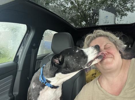 Turbo the dog in a vehicle kissing the face of his adopter