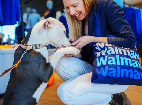 Person holding a Walmart bag bending down to pet a black and white dog