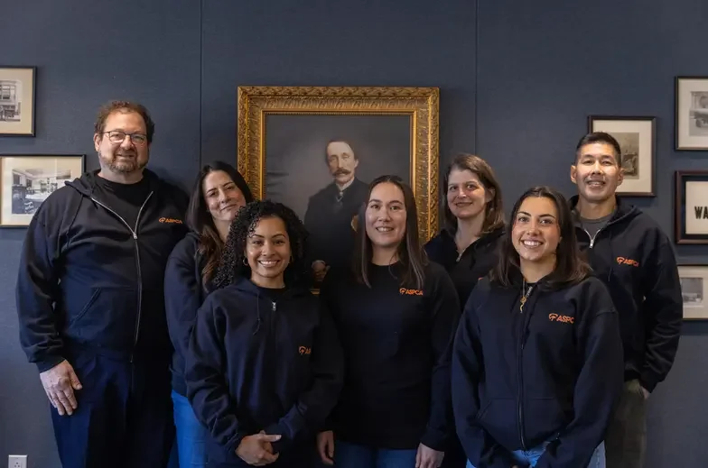 7 member team of the New York City forensics department