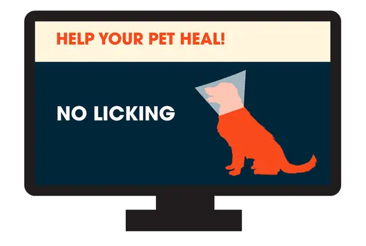 silhouette of a dog with an elizabethan collar