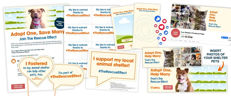 graphics contained in toolkit